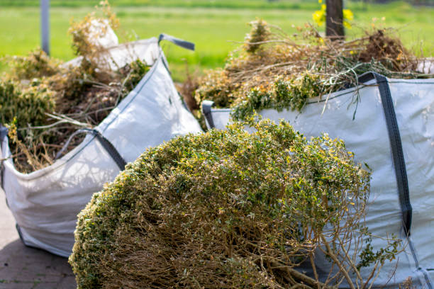 Best Residential Junk Removal  in Marine, IL